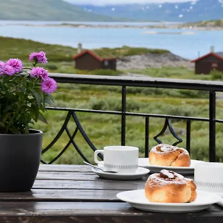 Tyinholmen Hoyfjellsstuer Hotel *
