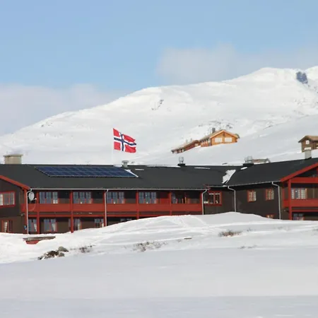 Tyinholmen Hoyfjellsstuer Hotel *