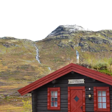 ホテル Tyinholmen Hoyfjellsstuer Eidsbugarden