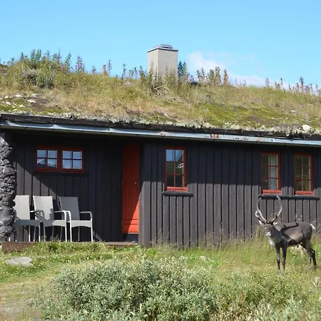 Tyinholmen Hoyfjellsstuer Hotel