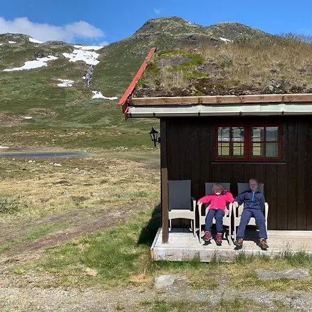 Tyinholmen Hoyfjellsstuer * Eidsbugarden