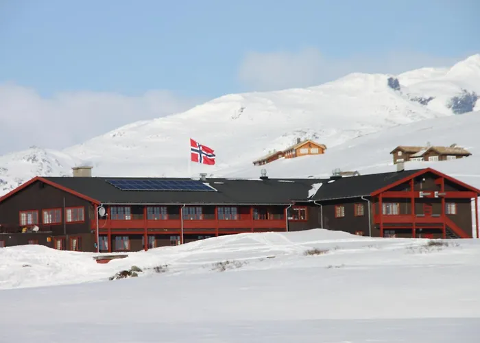 Tyinholmen Hoyfjellsstuer Hotel *