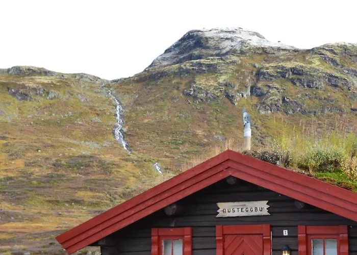 Hotel Tyinholmen Hoyfjellsstuer Eidsbugarden