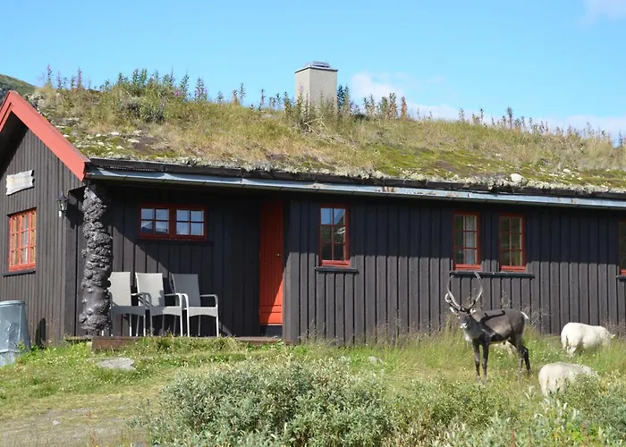 Tyinholmen Hoyfjellsstuer Hotel