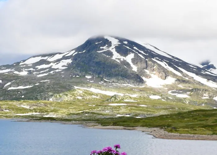 Tyinholmen Hoyfjellsstuer Eidsbugarden