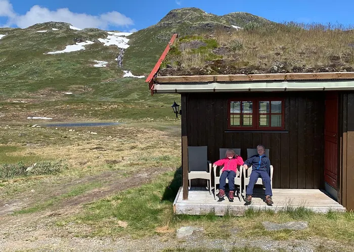 Tyinholmen Hoyfjellsstuer * Eidsbugarden