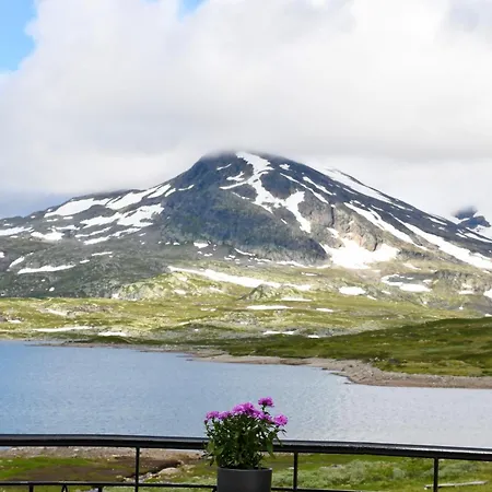 Tyinholmen Høyfjellsstuer Eidsbugarden